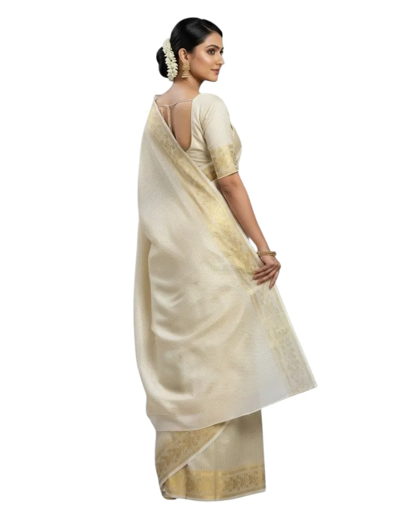 Saree_001_Tissue Border_2.webp